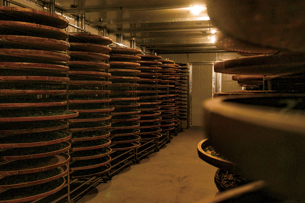 生(shēng)産基地(dì)