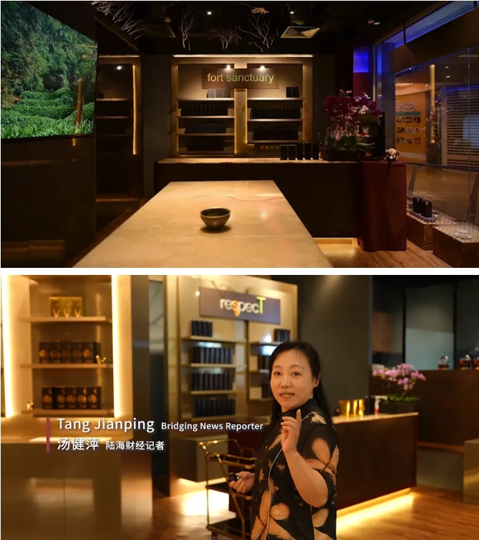 金(jīn)山(shān)紅(hóng)：千年(nián)古樹(shù)茶飄香海(hǎi)外(wài)