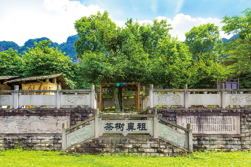 生(shēng)産基地(dì)