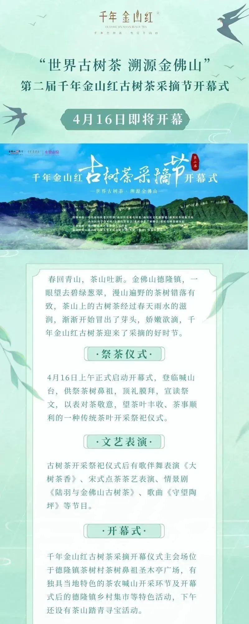 世界古樹(shù)茶，溯源金(jīn)佛山(shān) | 第二屆千年(nián)金(jīn)山(shān)紅(hóng)古樹(shù)茶采摘節，即将開(kāi)幕！